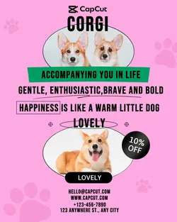 Pet Corgi Promotion Vintage Style