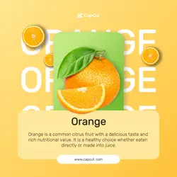 Food Orange Display E-commerce