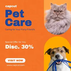 Colorful Orange Pet Care Instagram Post