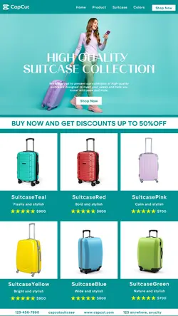 Suitcase Sale Product Display