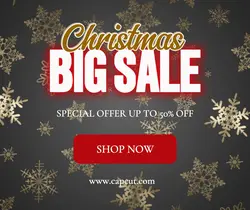 Christmas Big Sale