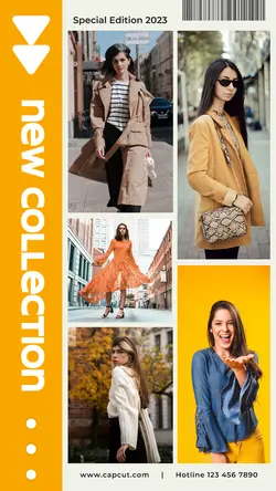 5 multi- New Collection Fashion Product