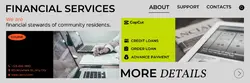 Financial services promotion business