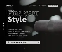 3C Digital Audio Product Introduction