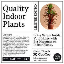 Household Accessories Plants Sales Promotion Instaagram Post