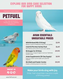 Pet Care Pricelist Instagram Portrait Colorful