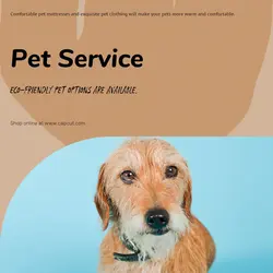 Pet industry Product Display