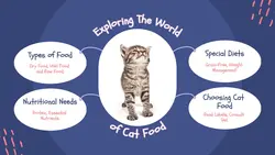 Pet Food Minimalist Mind Map