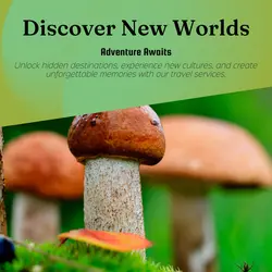 Travel industry General