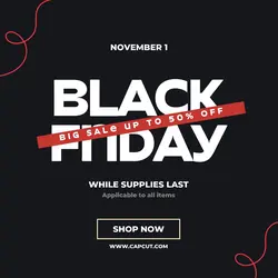 Black Friday Sale