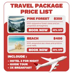 2024hot Travel Package Price List