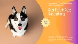 Pet industry Instructions