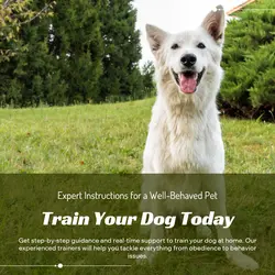 Pet industry Instructions