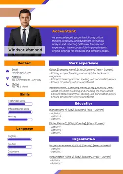 Non-marketing Professional Accounting Resume Minimalist