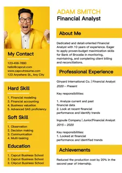 Financial Analyst Resume Businees