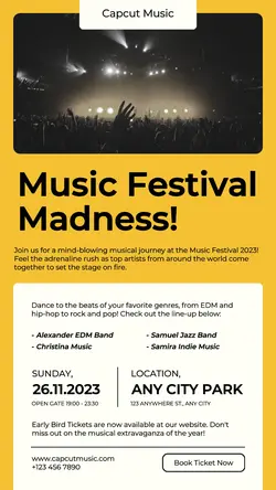 Music Festival Promotion Instagram Story