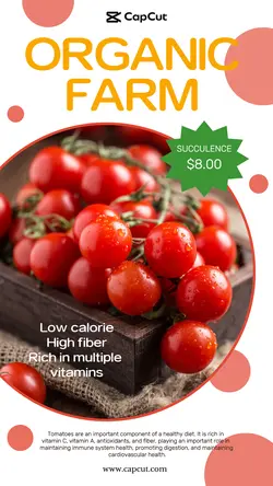 Foods & Beverage Discount promotion Organic farm Redesign