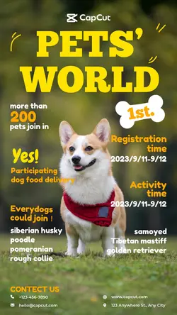 Pet supplies Pet social activities show simple sty