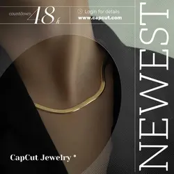 Fashion Necklace Products Introduction