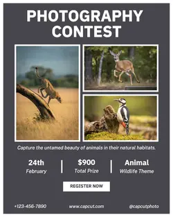 Photography Contest Instagram Portrait