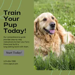 Pet industry Instructions