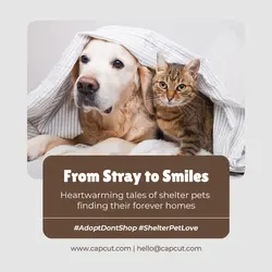 Brown Minimalist Pet Shelter Instagram Post