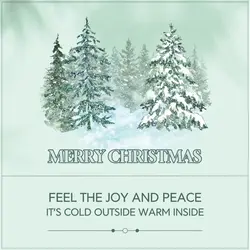 Merry Christmas Greetings Linkedin Post
