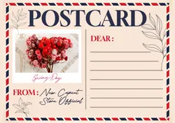 Non-marketing Postcard Cream Red Blue Minimalist