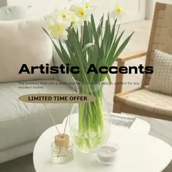 Home decor Effect Display