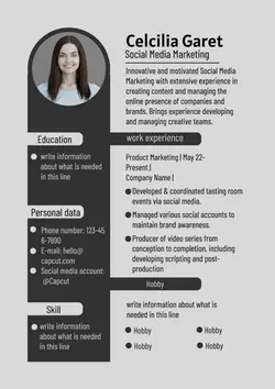 not marketing a simple minimalist style resume for job seekers in the Accountant field
