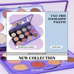 Eyeshadow Palette Product New Arrival