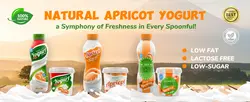 E-commerce Beverage Yogurt Detail Page