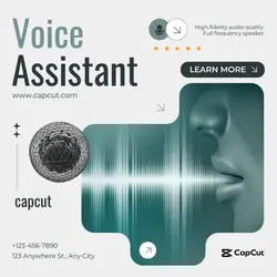 Internet Voice assistant Branding Technology