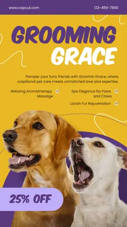 Grooming Grace Promotion Instagram Story