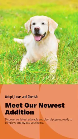 Pet industry New arrivals