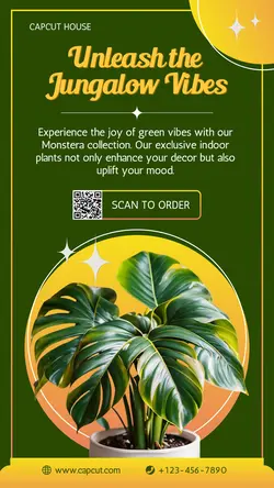 Household Accessories Indoor Plant Product Display