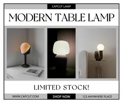 Housewares Modern Lamps Facebook Post-Household-promotion sale