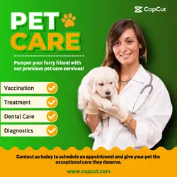 Instagram Post - Pet Care