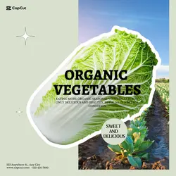 Foods & Beverage Discount promotion Organic vegetables Redesign