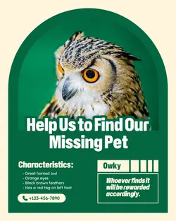 Pet Missing Instagram Post