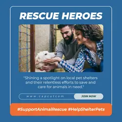 Blue Minimalist Shelter Pets Instagram Post