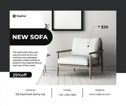 Household Sofa Promotion Business