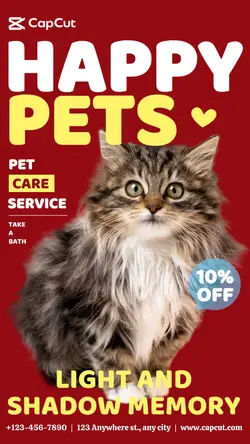 Pet Cat service Description business