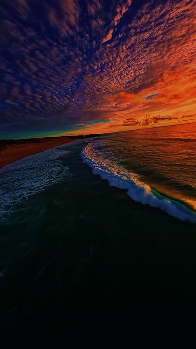 새로운 트렌드