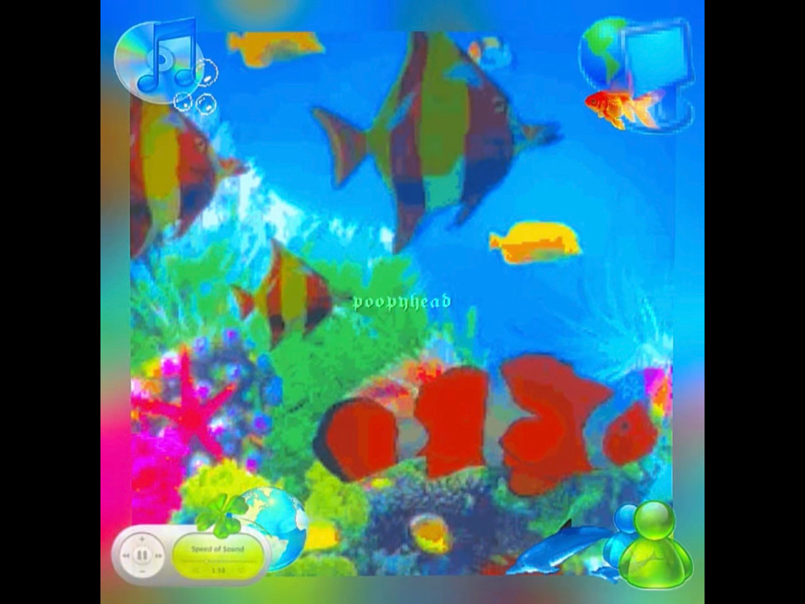 Aero Buah 🐬🍀
