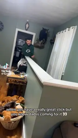 animal reaction