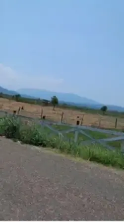 Amo Chiapas 