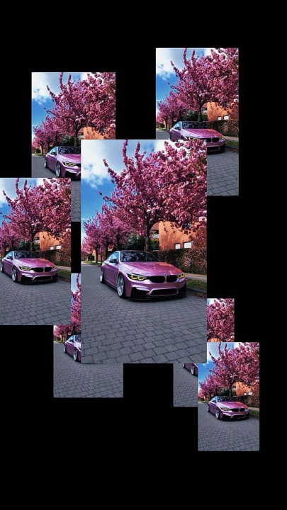 Cover Picture