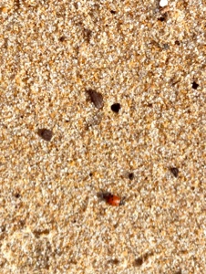 Ambiance de plage 