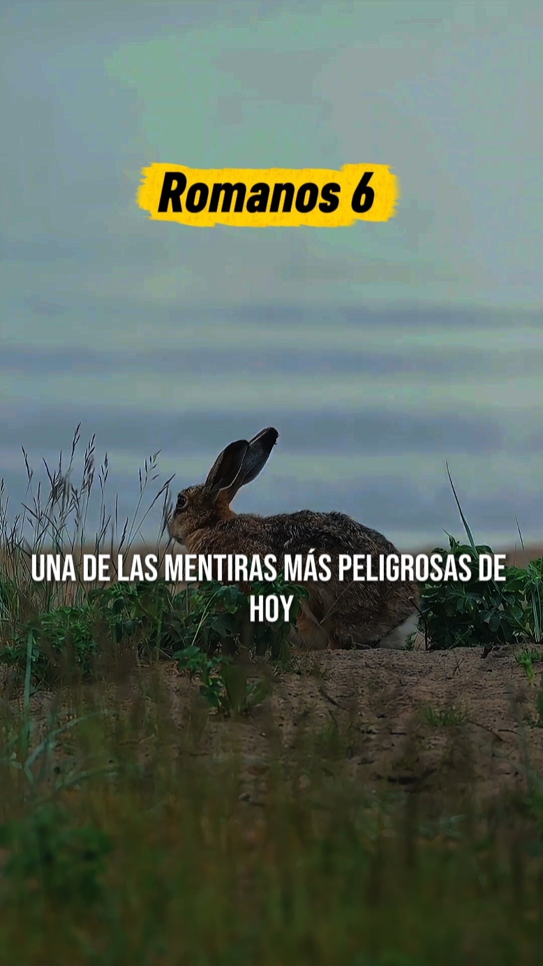ROMANOS 6